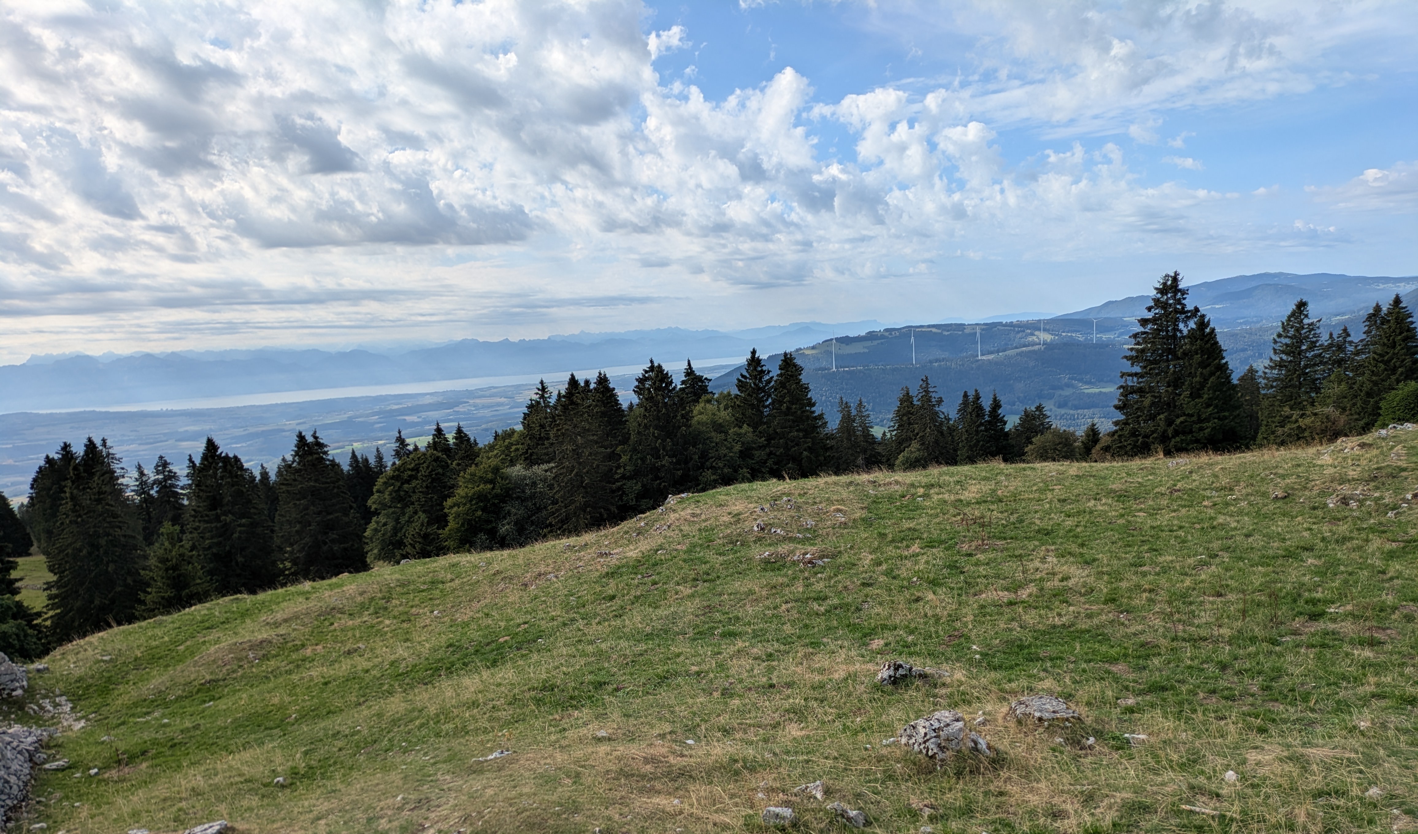 photo de Suchet (Le)