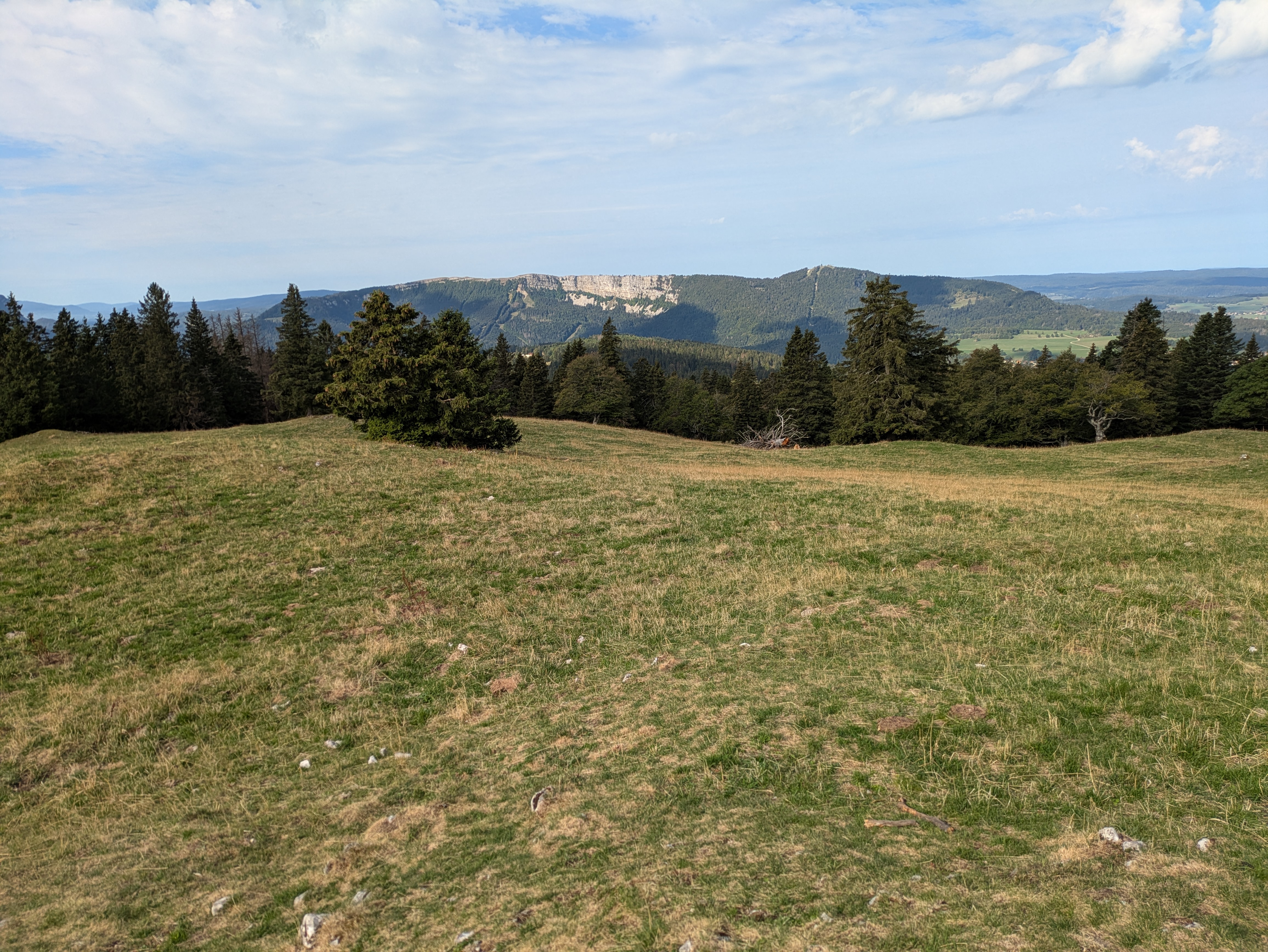 photo de Suchet (Le)