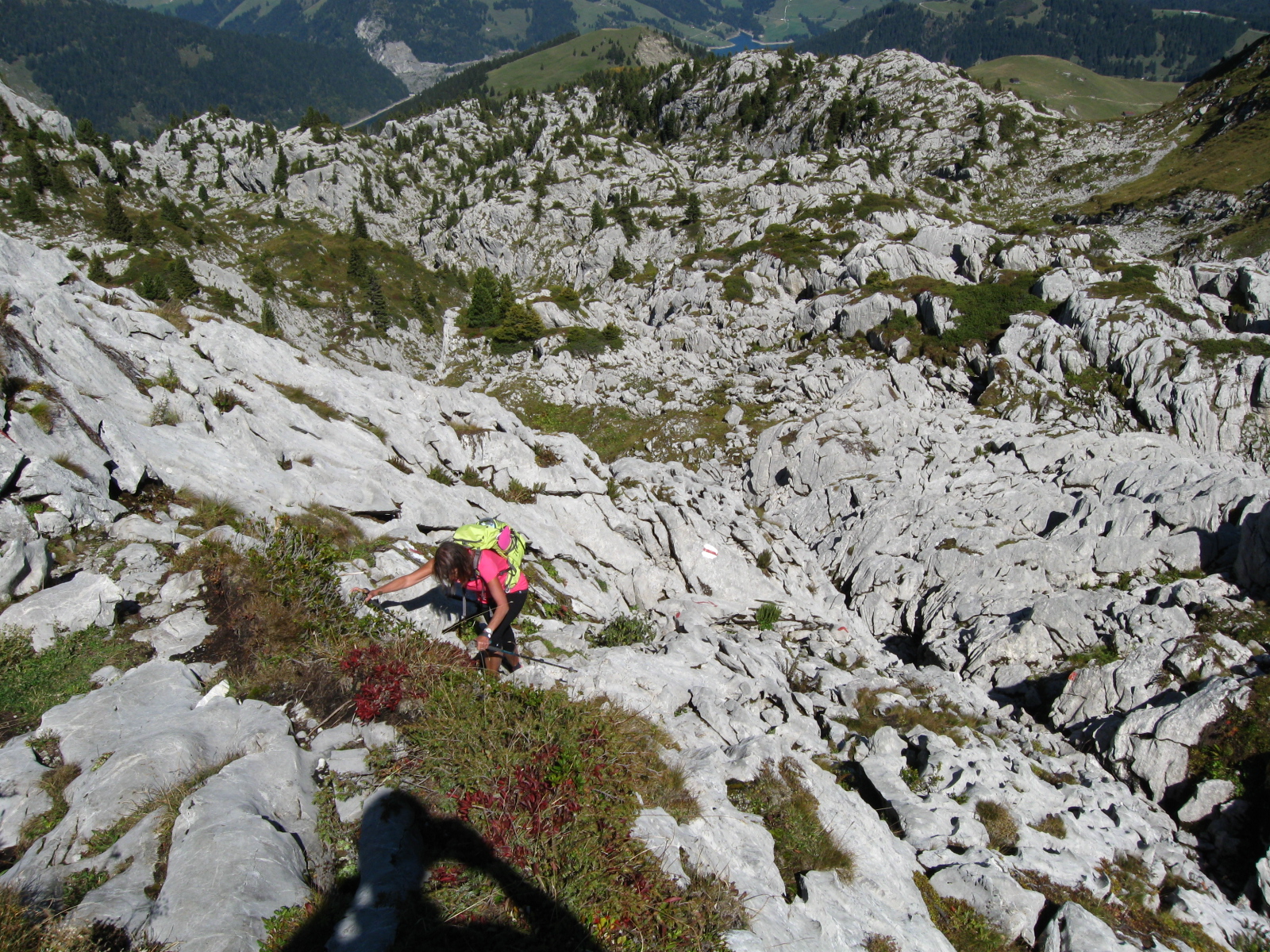 photo de Tour de Famelon